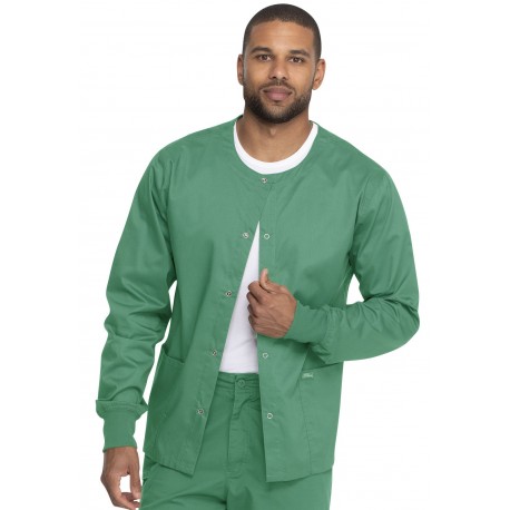 GD300 Dickies Industrial