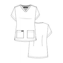 Leslie PAP Koi Basics